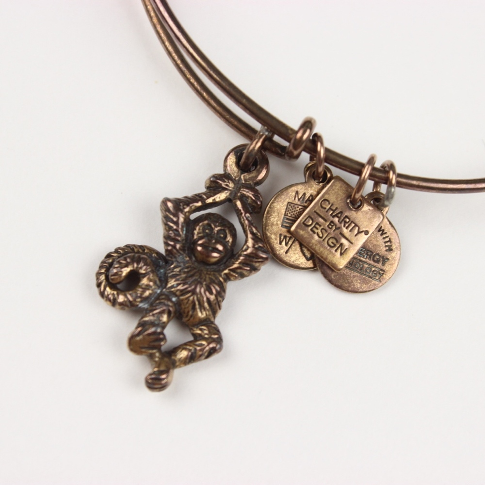 Monkey Charity by Design Alex & Ani Gold Bracelet